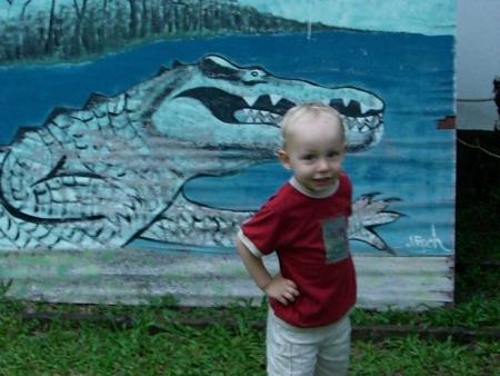 les animaux du gabon...